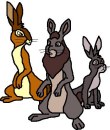 Hazel, Bigwig and Hawkbit 