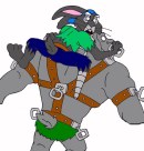 piggyback2.jpg